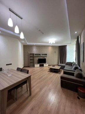 Deluxe Central Apartments